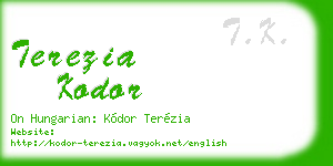 terezia kodor business card
